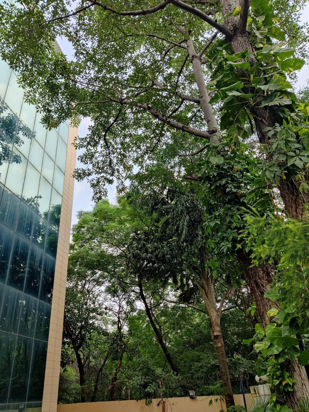 FORE School of Management Campus photo 19